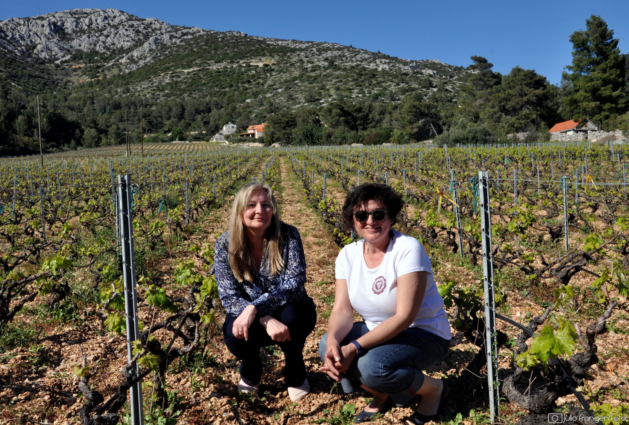 Desire TWDT Hvar (85)